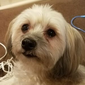 Meet your Posher, Some guy